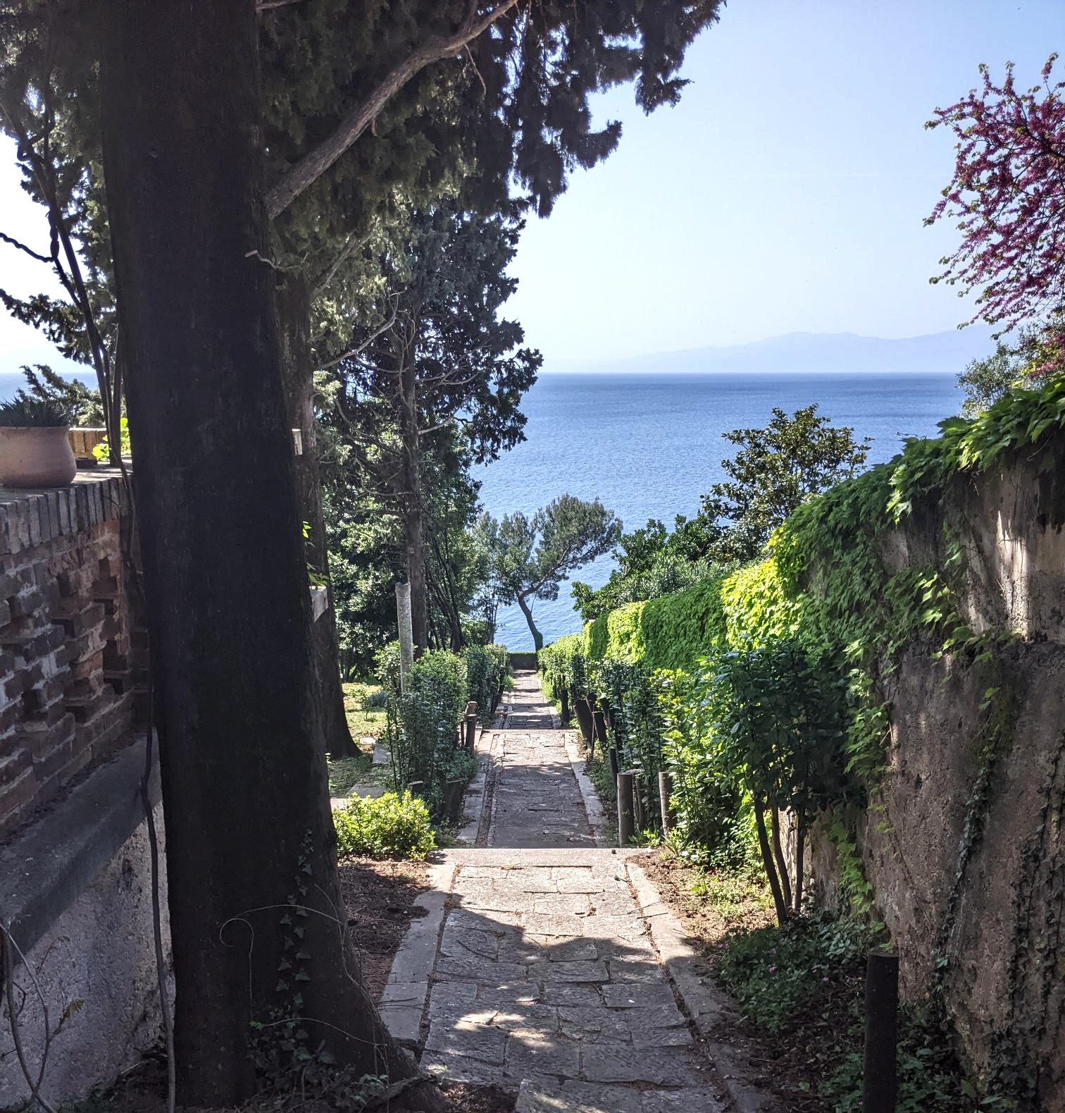 Elegant Stepped Pathway
